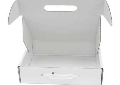 Corrugated Box with Handle BP