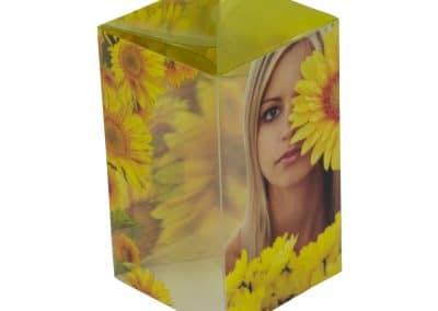 Plastic Consumer Box Sleeve Sunflower
