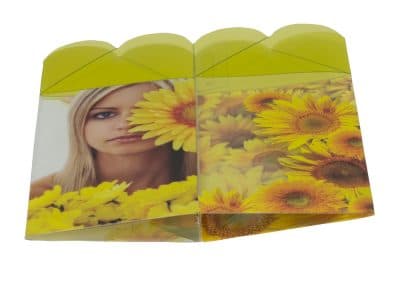 Plastic Consumer Box Sleeve Sunflower