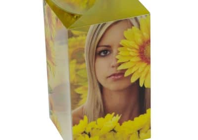 Plastic Consumer Box Sleeve Sunflower