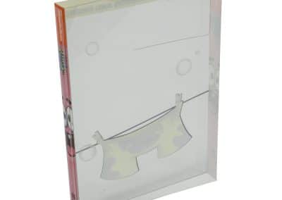 Plastic DVD Package Spongebob